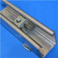C型钢弹簧螺母、镀锌弹簧螺母-广州友乃德厂家专业生产