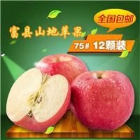 太苹盛事红遍中国陕西富县苹果批发供应采购新鲜水果价格优惠
