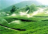 节水灌溉设备供应_农田灌溉设备供应