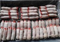 上海冷冻猪脖骨，美国31965猪手，丹麦147猪肚
