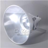 ZBD111M.100W马路灯LED免维护防爆灯