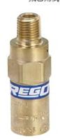REGO-PRV9432/3/4安全阀 不锈钢、黄铜材质）