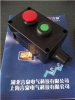 全塑ZXF8030-A1K1防爆防腐电气指令发送控制器