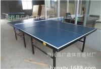 家用乒乓球桌 学校用乒乓球台 普通实用型乒乓球桌 安装便捷球台