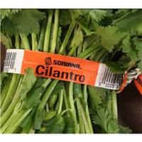 供应东莞森盛蔬菜标签厂家，可提供标签定制和批发