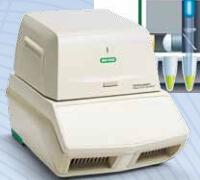 96孔/双通道 荧光定量PCR仪 进口品牌/价格