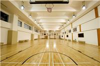 体育运动地板 室内篮球场地板 篮球排球塑胶地板 木纹运动地板