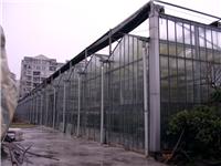 建阳温室大棚厂家，有提供效果好的阳光板温室大棚