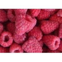 青海湟源紅樹莓基地直供 有機紅樹莓批發