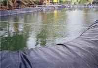 供应养殖场污水池&厌氧池&好氧池&调节池防渗密封处理