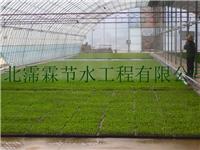 双峰县微喷头价格 安平县大棚灌溉|喷雾微喷头供应