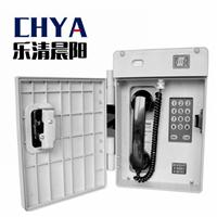 IP65电话机 HAT86 XII P/T-A基本型 户外防水防尘电话机