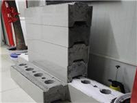 新型环保建材结构砖 保温外墙砖