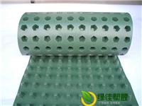 蓄排水板生产厂家出厂价供应hdpe1.2-3cm高排水板