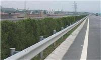 高速护栏 高速公路镀锌防护栏 直销南京镇江护栏板 喷塑波形护栏