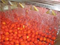 沃迪装备：番茄酱生产设备/番茄加工生产线
