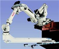 天津那智可能越中大型工业机器人