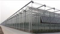日光温室*大龙农业——湖南日光温室建设