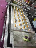 厂家直销蔬菜清洗机草莓清洗流水线 蔬菜清洗机优质厂家 服务终生