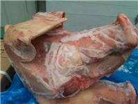 进口猪头 美国18079厂冷冻猪头 带耳朵不带口条 颜色好出成