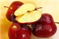 图拍档水果产品摄影系列之苹果拍摄