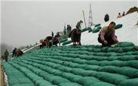 **环保麻椰固土毯 绿化植草毯 北京生态毯