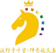 深圳市领头马饰品有限公司