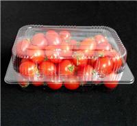 成都吸塑包装厂500g吸塑水果盒推荐