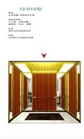 2016年辛格林较新别墅电梯