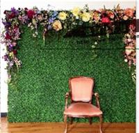 米兰草室外植物墙布景，仿真草皮栅栏，订做塑料草皮植物墙