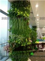 室内植物墙布景，人造塑料假植物墙装饰，仿真植物布景工程