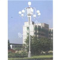 天津市春灯具厂家直销多种规格多种款式户外道路照明景观灯灯杆路灯杆