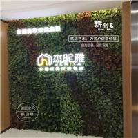 仿真绿萝叶植物墙仿真植物墙装饰美陈假植物墙仿真植物墙配材销售