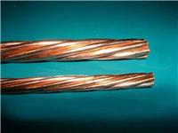 镀铜绞线国电产品专业品质