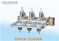 GNF38-12/630A户内高压隔离开关