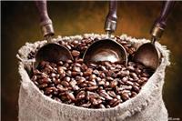 进口咖啡豆到上海港怎样报关，报关大概需要多久