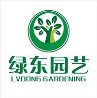 上海绿东园艺 专业植物绿化 办公室植物租赁 植物盆栽养护