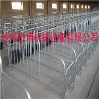 养殖 养猪设备 定位栏 限位栏 供应求购 厂家直销