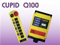中国台湾CUPID Q100起重机遥控器