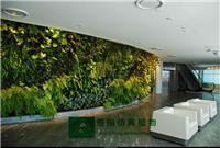 酒店房间室内植物墙，家庭装饰室内仿真植物墙，人造植物墙