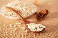 薏米粉、**微薏米粉、厂家直供无添加、五谷粉薏米粉直供