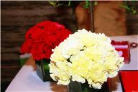 上海庆典会议婚礼鲜花绿植布置公司