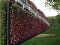 佛山植物外墙绿化
