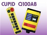 供应中国台湾CUPID Q100AB 工业无线遥控器