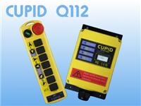 供应中国台湾CUPID Q112 工业无线遥控器