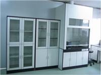 杭州杰尼实验提供的通风柜怎么样 ：杭州通风柜，化工实验设备