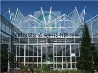 深圳绿浦全敞开温室 花卉、果蔬种植、育苗 、科研智能温室