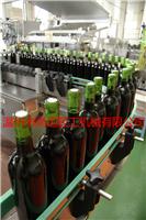 蓝莓酒加工设备生产线 火龙果酒生产线成套设备
