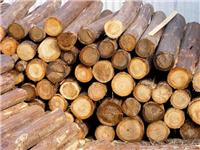 欧洲白蜡木原木进口需要资料 深圳木材进口清关公司
