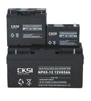 日月潭蓄电池REDSUN12-65铅酸免维护12V65AH蓄电池厂家直销
